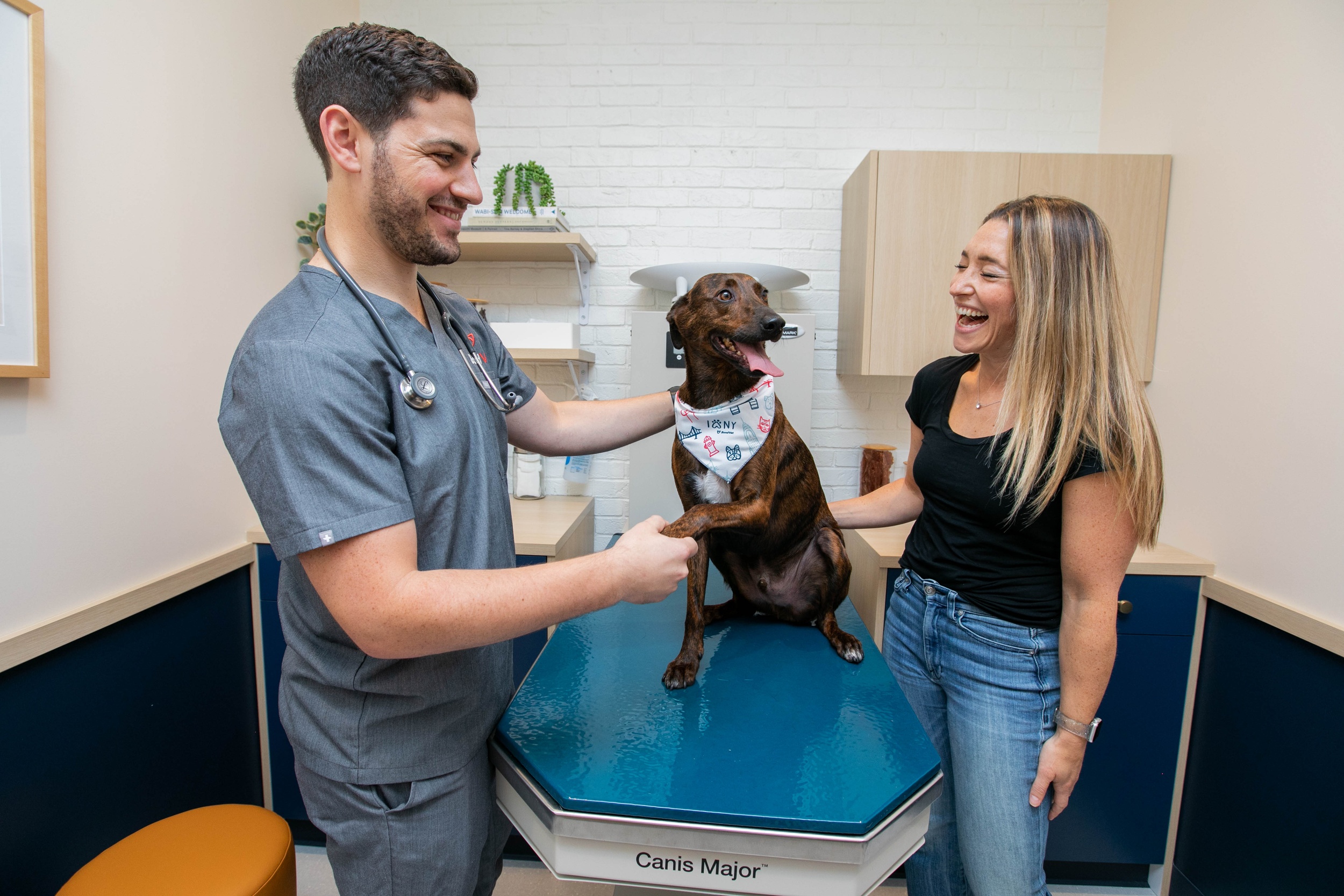 A new kind of vet clinic animal hospital Bond Vet